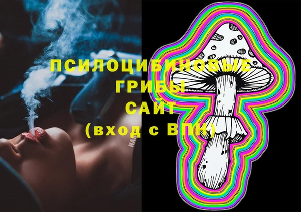 jwh Гусиноозёрск