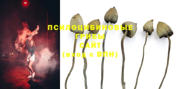 jwh Гусиноозёрск