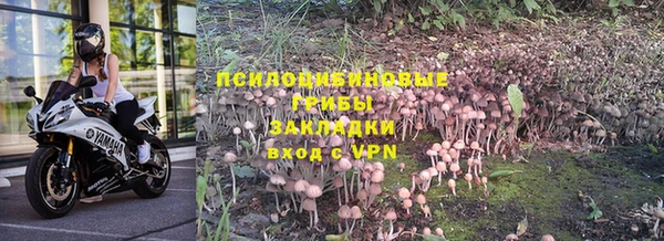 apvp Гусь-Хрустальный