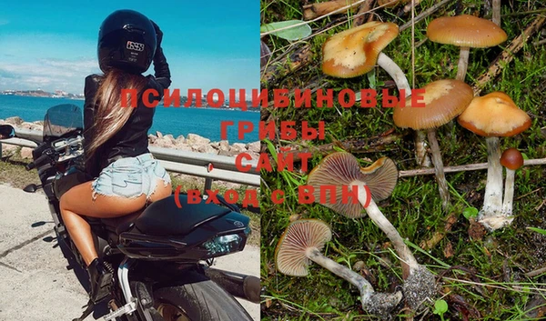 COCAINE Горняк
